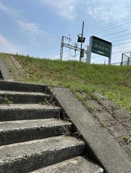 淀川 河川敷,淀川,夏の写真素材