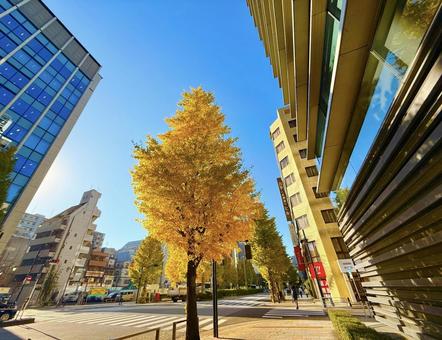 イチョウの木とビジネス街と青空 青空,空,ブルースカイの写真素材
