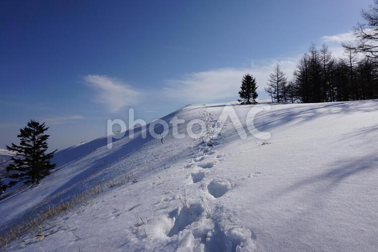 冬の美ヶ原　茶臼山に向かう雪の足跡 美ヶ原,長野県,百名山の写真素材