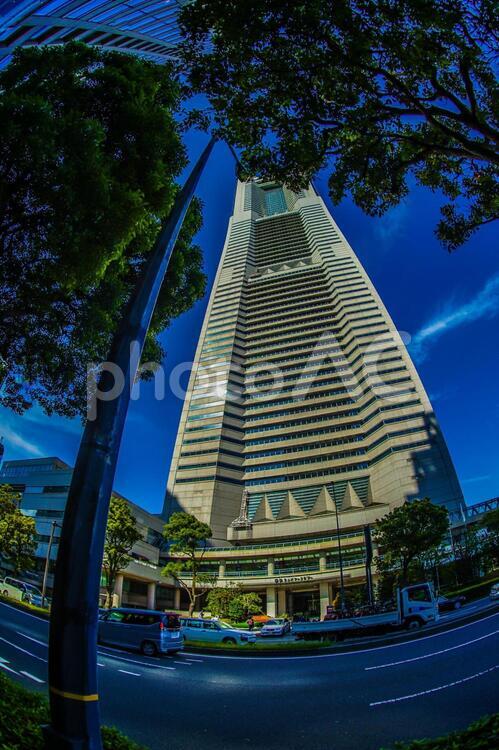 横浜ランドマークタワーと快晴の空 横浜ランドマークタワー,ランドマークタワー,青空の写真素材