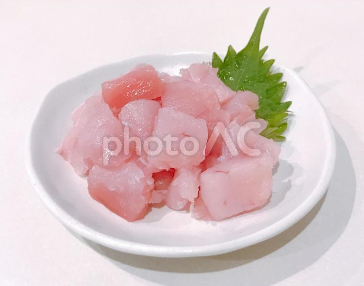 ビンチョウ鮪刺身 ビンチョウ鮪刺身,鮪刺身,鮪の写真素材