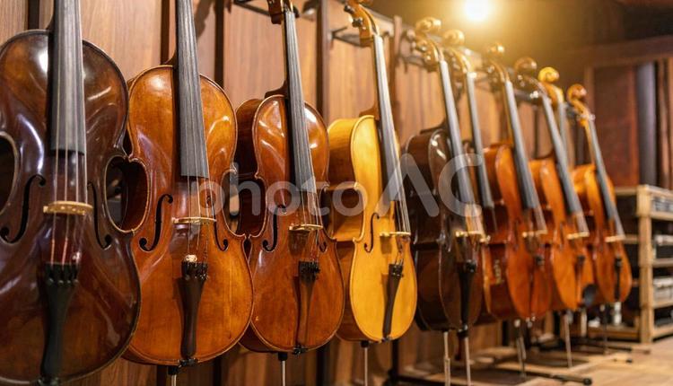 並んだ弦の音色 チェロ,弦楽器,楽器の写真素材