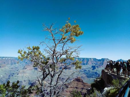 世界自然遺産グランドキャニオン7 グランドキャニオン,ブライトエンジェルトレイル,トレッキングの写真素材