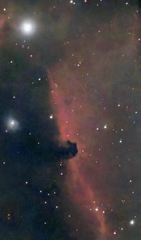 馬頭星雲 冬の有名天体 天体写真,馬頭星雲,オリオン座の写真素材