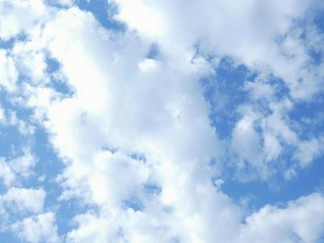 秋の空:10月後半、さわやかな朝A 秋の空:10月後半、さわやかな朝A 青空,空,雲の写真素材