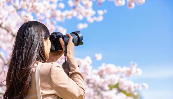 レンズを向ける日本人女性カメラマン レンズを向ける日本人女性カメラマンの写真