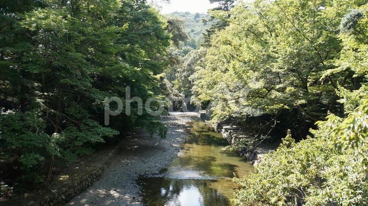 森の中の川 川,森,木の写真素材