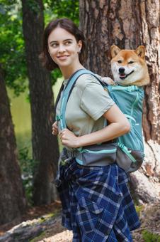 女性の背中に乗る犬 女性,犬,柴犬の写真素材