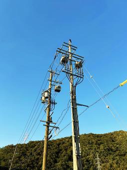 青空と電柱 青空と電柱 空,電柱,電線の写真素材