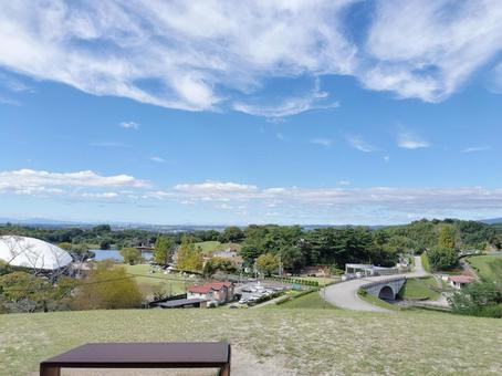 ベンチからの眺めの写真