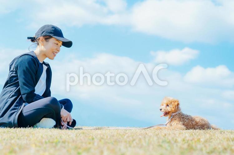 スポーツウェアで犬の散歩をする女性 犬,ペット,女性の写真素材