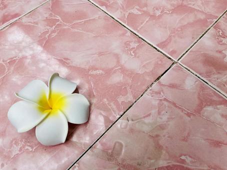 Plumeria, JPG Plumeria, JPG