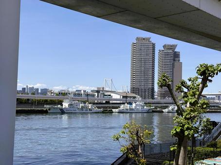 2025年春 昼間の東京江東区の風景 2025年春 昼間の東京江東区の風景 ベイエリア,ビル群,台場エリアの写真素材