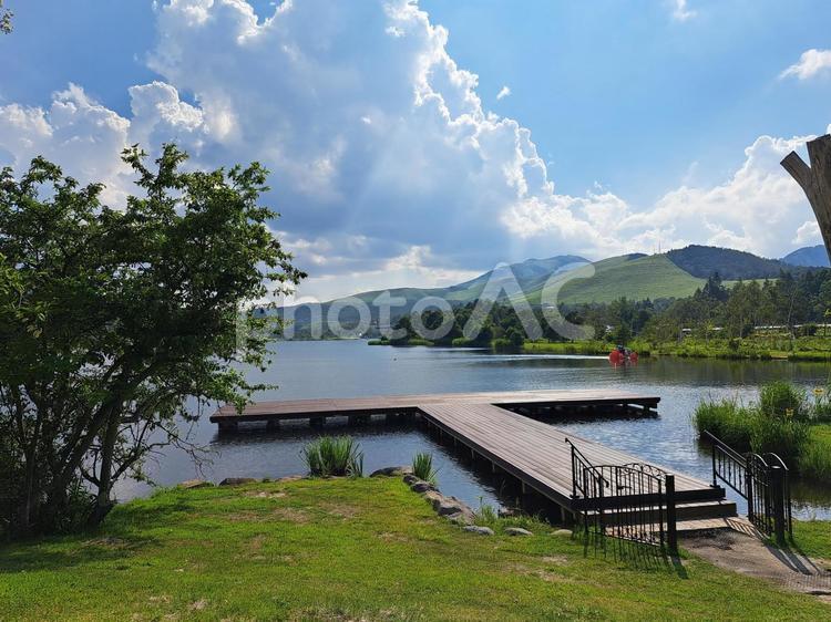 真夏の白樺湖の絶景 湖,絶景,夏の写真素材