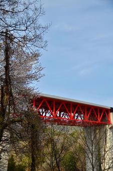 Photo, high speed road, spring, cherry blossoms, 
