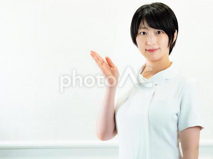 06：看護師のアップ【白バック】 ナース,看護師,看護婦の写真素材