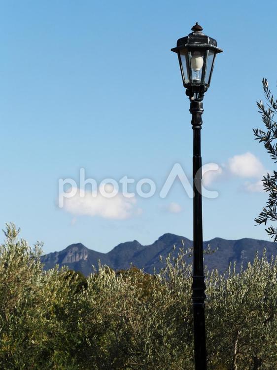 小豆島オリーブ公園の風景 小豆島,オリーブ公園,外灯の写真素材