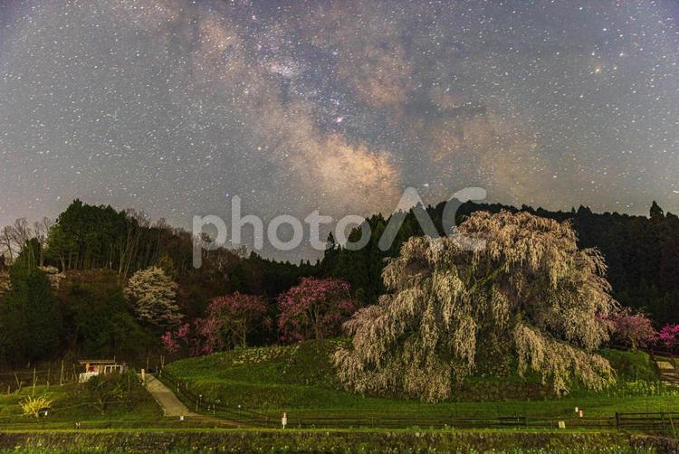 奈良県宇陀市　星空と又兵衛桜 又兵衛桜,桜,天の川の写真素材