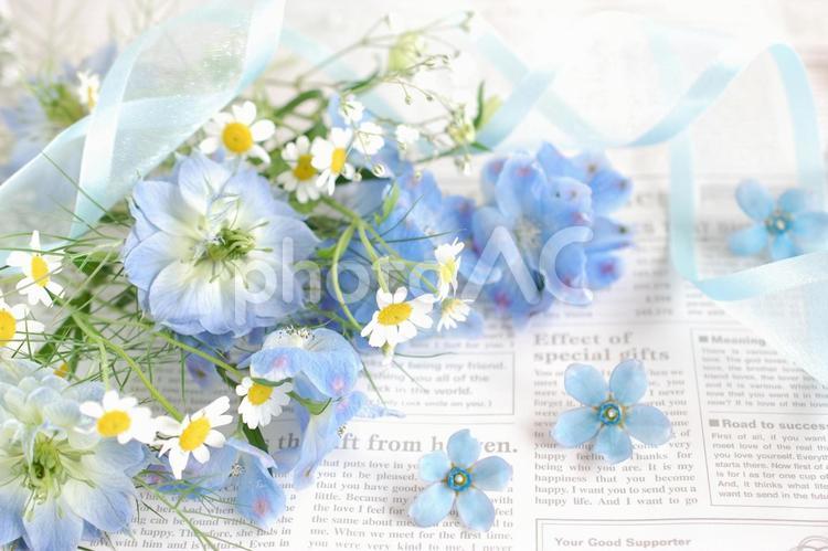 英字の背景と青い花たち⑤ 青い花,花,フラワーフレームの写真素材