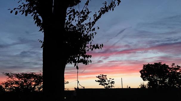 Sunset silhouette, JPG Sunset silhouette, JPG