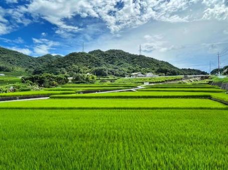 【風景写真】田園風景 【風景写真】田園風景の写真