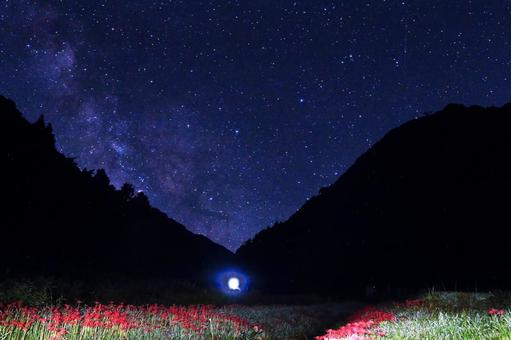 秋の夜の山間部の風景/彼岸花・星空 秋の夜の山間部の風景/彼岸花・星空 星空,彼岸花,秋の写真素材