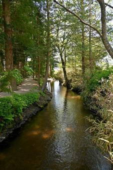 岩手・遠野市 カッパ淵(春・5月) 岩手・遠野市 カッパ淵(春・5月) カッパ淵,河童,かっぱの写真素材