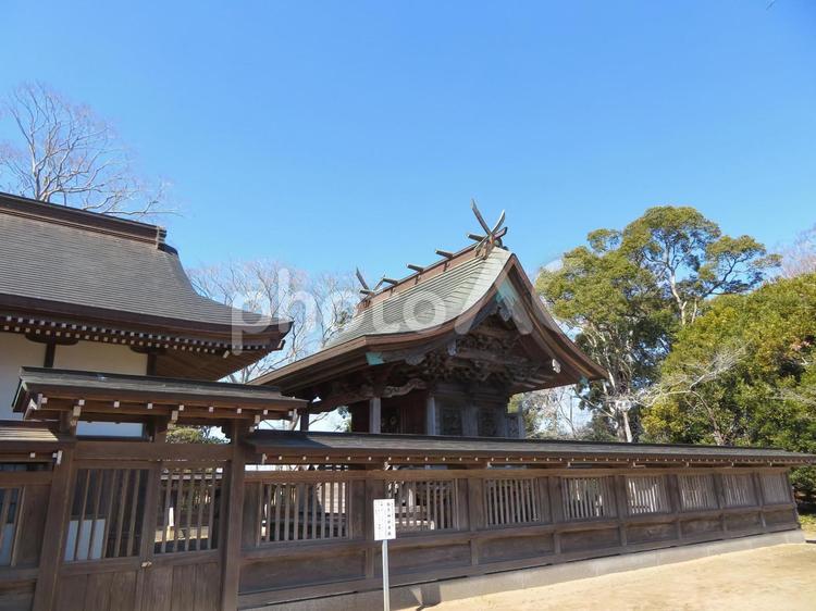 白子町の白子神社本殿 白子神社,本殿,神社の写真素材