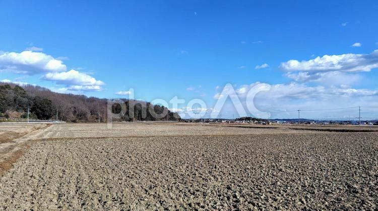 冬の畑が広がる景色 畑,冬,青空の写真素材