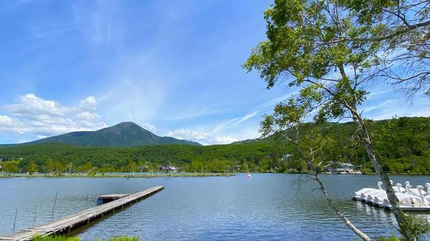 夏のビーナスライン・白樺湖(27) 夏のビーナスライン・白樺湖(27) 白樺湖,ビーナスライン,夏の写真素材