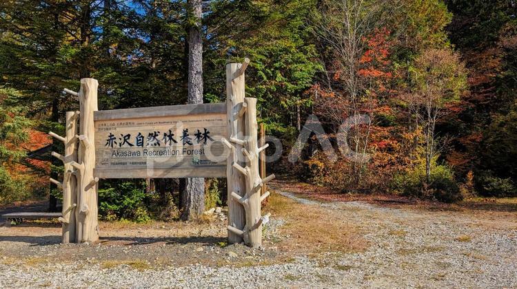秋の赤沢自然休養林入口 赤沢自然休養林,観光地,観光スポットの写真素材