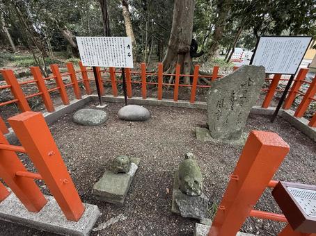 息栖神社　力石　松尾芭蕉の句碑　御衣黄の写真