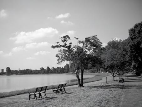 水元公園 水元公園の写真