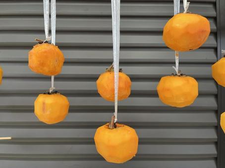 干し柿 干し柿,柿,くだものの写真素材