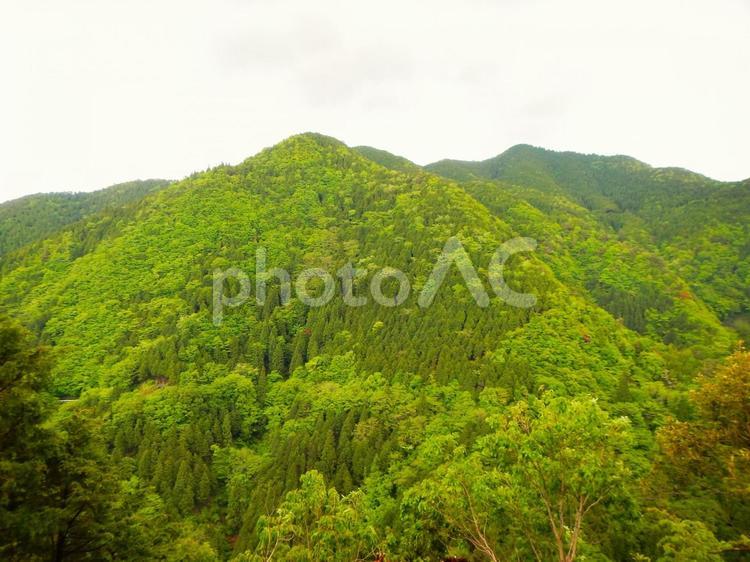 高野山から見る風景　和歌山県　2 巡礼,古道,自然遺産の写真素材
