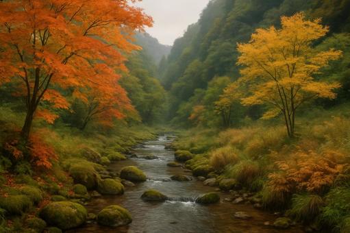 渓谷沿いに広がる秋の草木 渓谷沿いに広がる秋の草木の写真
