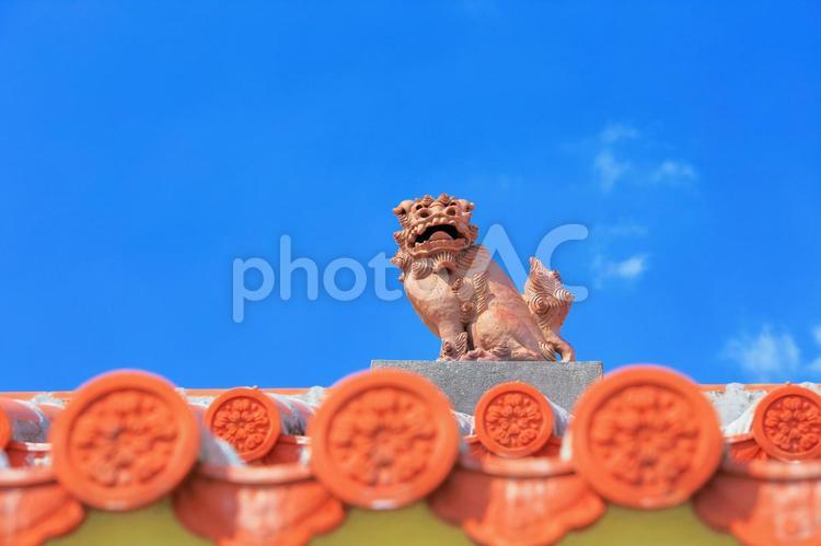 赤瓦とシーサーと青い空 オレンジ,リゾート,夏の写真素材