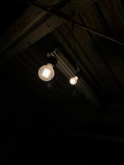 電球 電球の写真