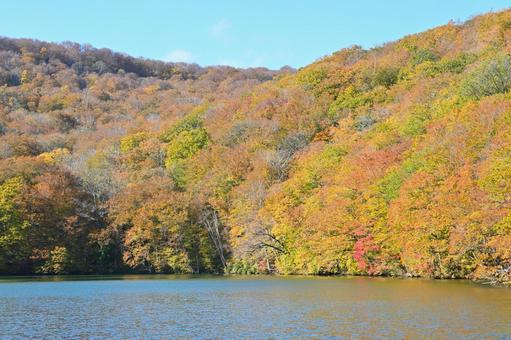紅葉2 秋,黄葉,湖の写真素材