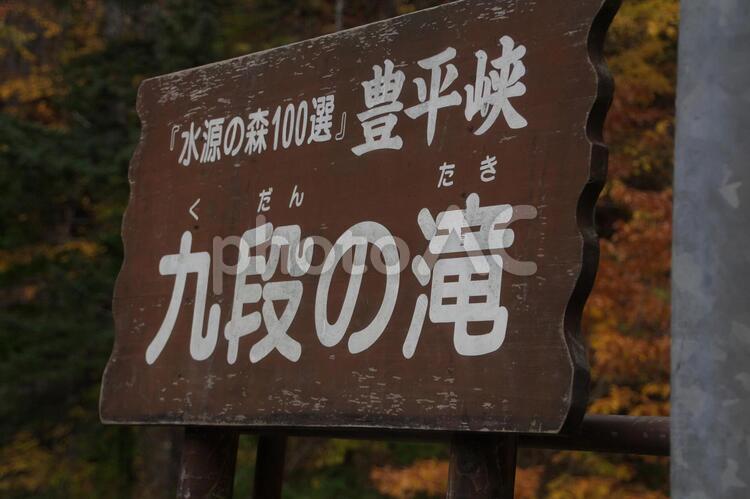 北海道の美しい紅葉 きれい,もみじ,イエローの写真素材