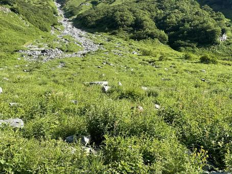 涸沢からの展望 20 涸沢からの展望 20 緑,風景,自然の写真素材