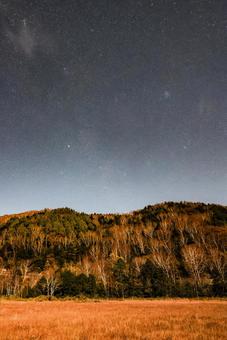 秋の夜の田野原湿原~紅葉と星空 田野原湿原,湿原,紅葉の写真素材