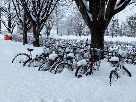 大雪の日 大雪の日 雪,大雪,自転車の写真素材