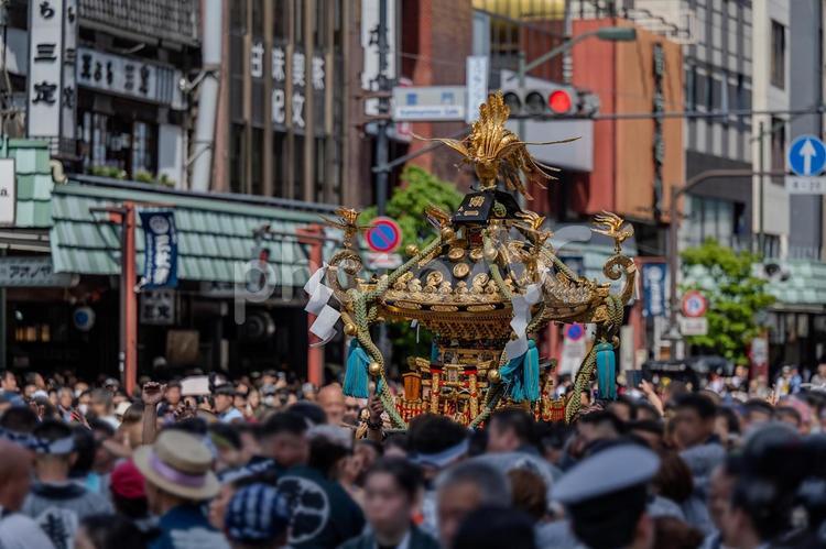 三社祭の風景 三社祭,神輿,伝統の写真素材