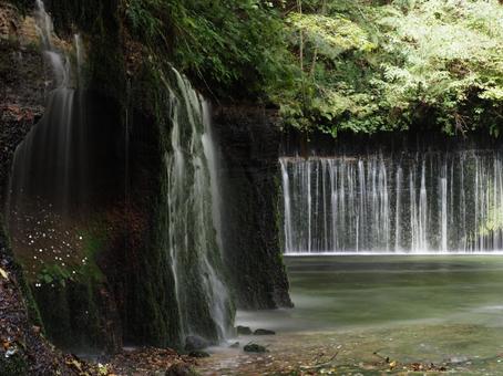 軽井沢・白糸の滝 軽井沢・白糸の滝 白糸の滝,軽井沢,滝の写真素材
