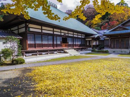 【神奈川県】鎌倉市・浄妙寺 【神奈川県】鎌倉市・浄妙寺 浄妙寺,鎌倉五山,秋の写真素材
