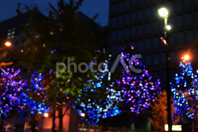 御堂筋イルミネーション2021 御堂筋,イルミネーション,夜景の写真素材