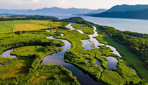 湿原 湿原の写真