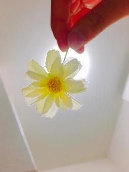 造花 造花の写真