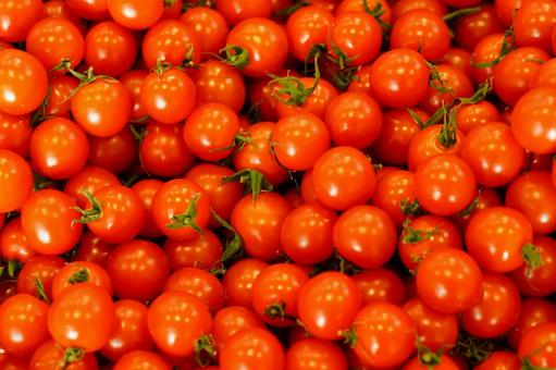 ミニトマト ミニトマト,野菜,赤の写真素材